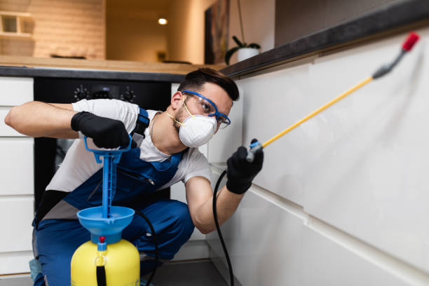 Best Pest Prevention Services  in Keyport, NJ