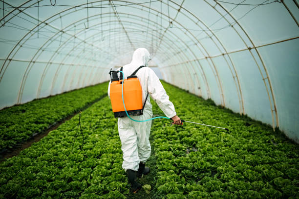 Best Commercial Pest Control Services  in Keyport, NJ
