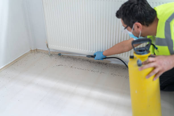 Pest Control Cost in Keyport, NJ
