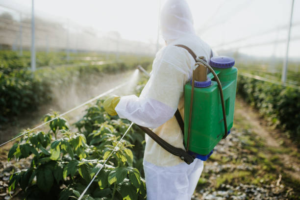 Best Emergency Pest Control  in Keyport, NJ